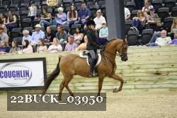 22BUCK_03950 proof