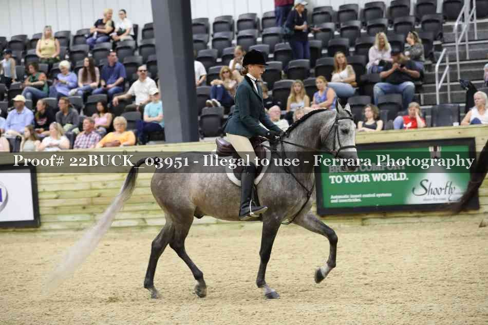 Proof 22BUCK_03951