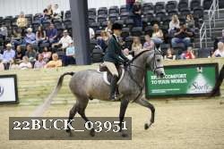 22BUCK_03951 proof