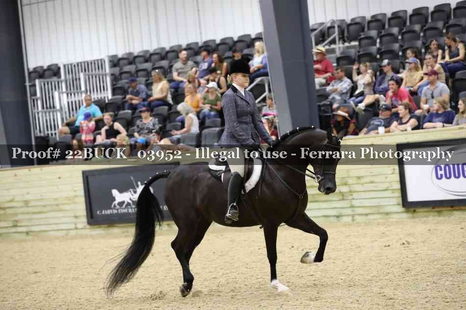 Proof 22BUCK_03952