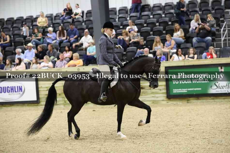 Proof 22BUCK_03953