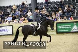 22BUCK_03953 proof