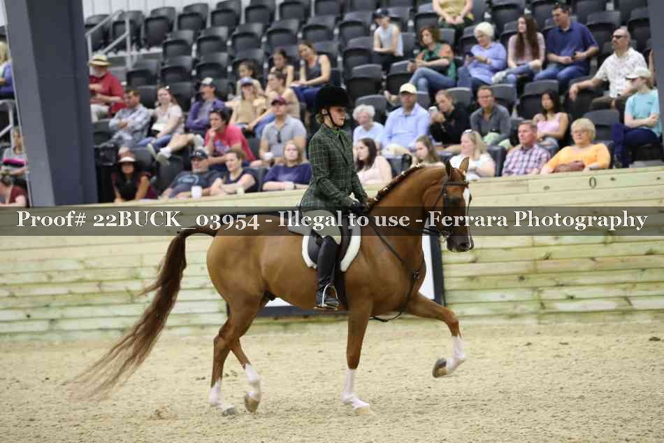 Proof 22BUCK_03954