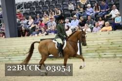 22BUCK_03954 proof
