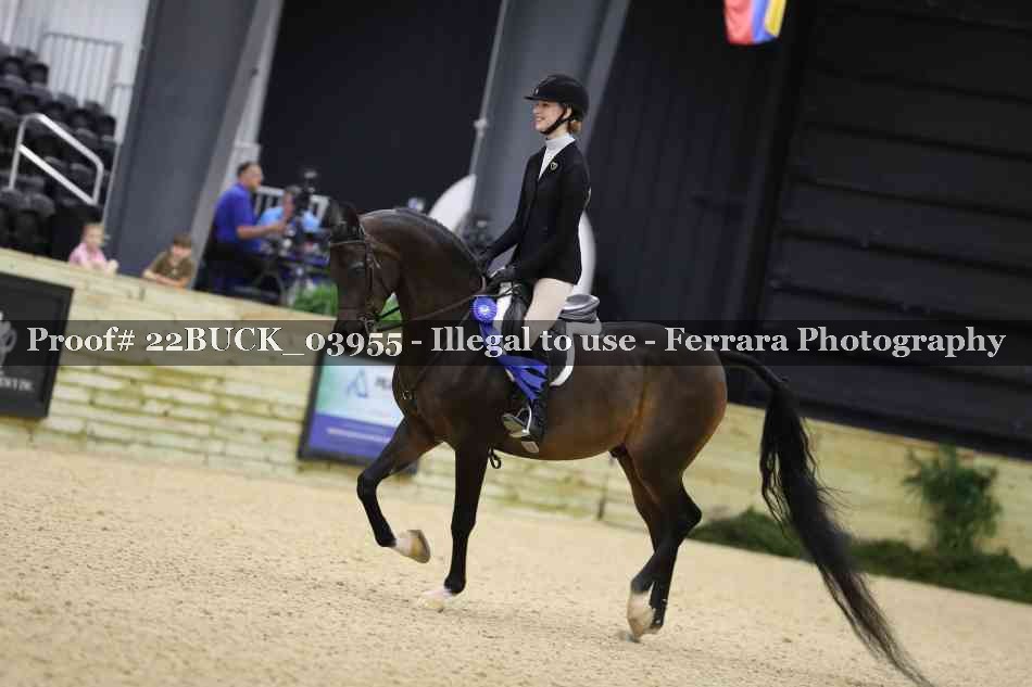 Proof 22BUCK_03955