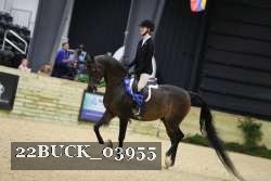 22BUCK_03955 proof