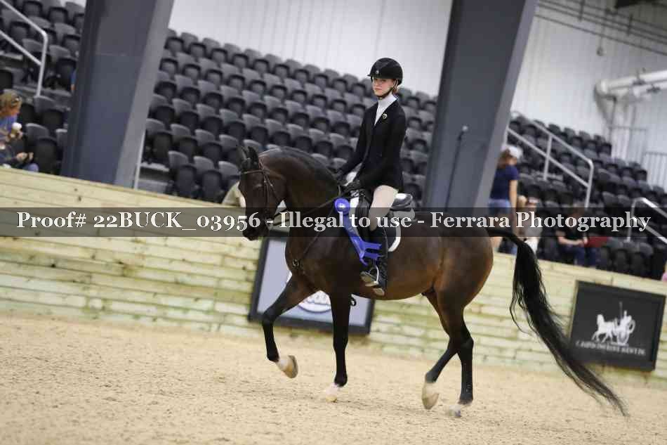 Proof 22BUCK_03956
