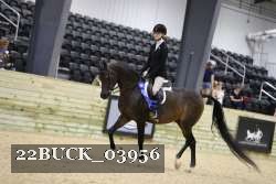 22BUCK_03956 proof
