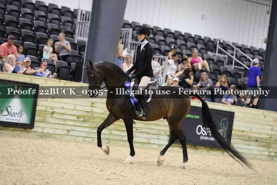 Proof 22BUCK_03957