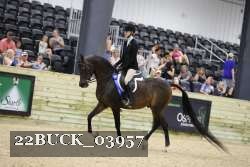 22BUCK_03957 proof