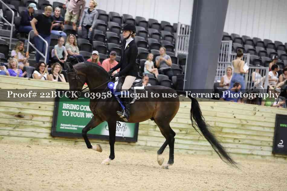 Proof 22BUCK_03958