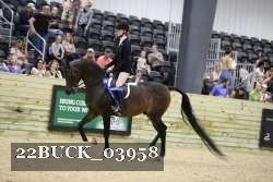 22BUCK_03958 proof
