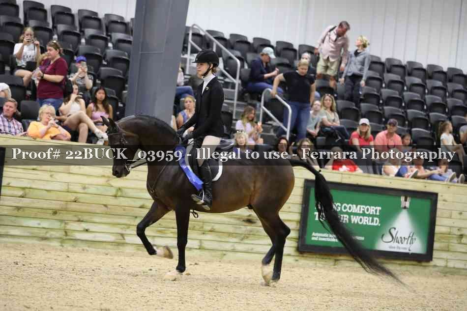Proof 22BUCK_03959