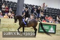 22BUCK_03959 proof