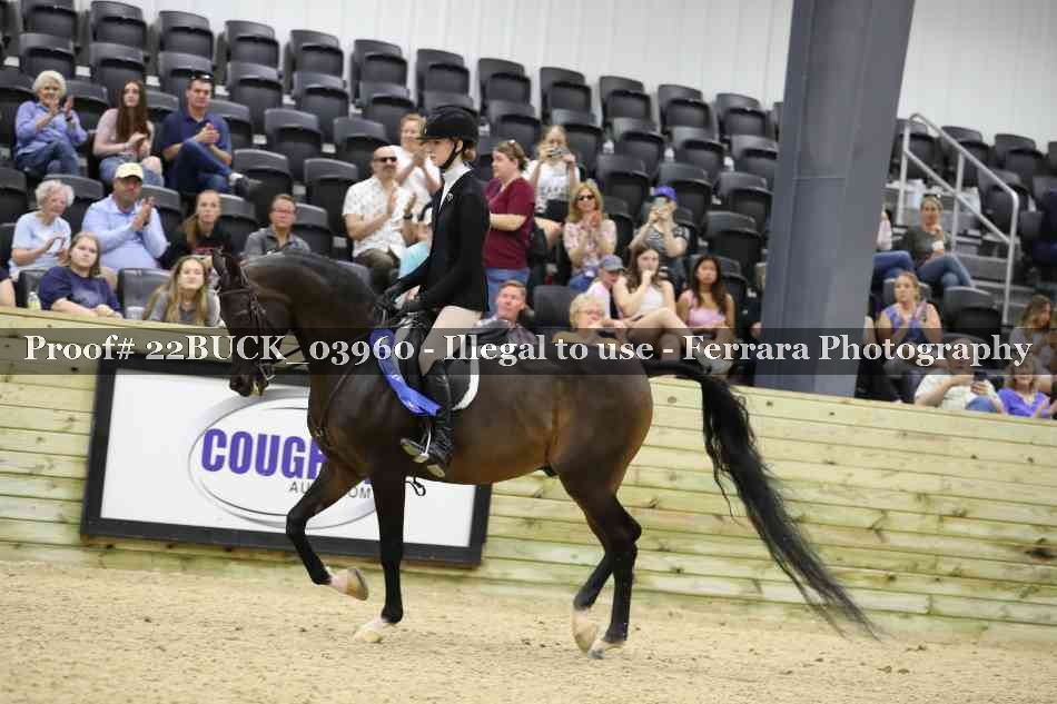 Proof 22BUCK_03960