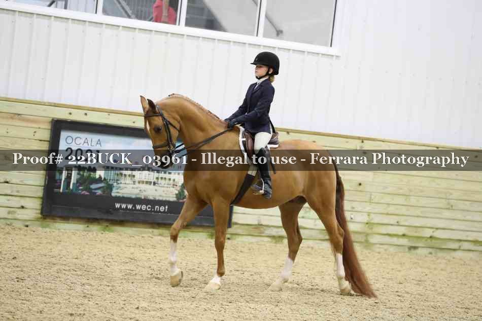 Proof 22BUCK_03961