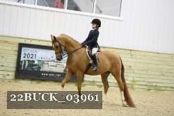 22BUCK_03961 proof