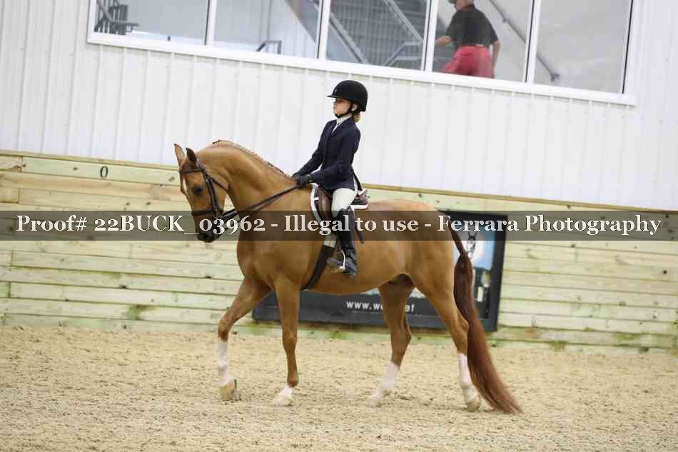 Proof 22BUCK_03962