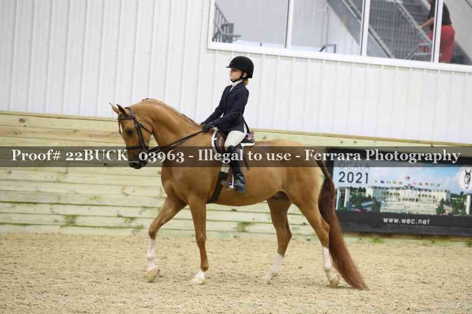 Proof 22BUCK_03963