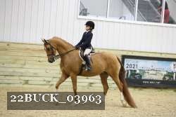 22BUCK_03963 proof