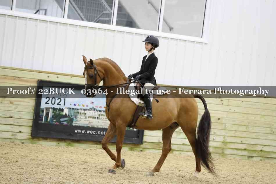 Proof 22BUCK_03964