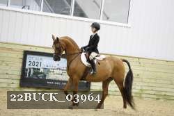 22BUCK_03964 proof