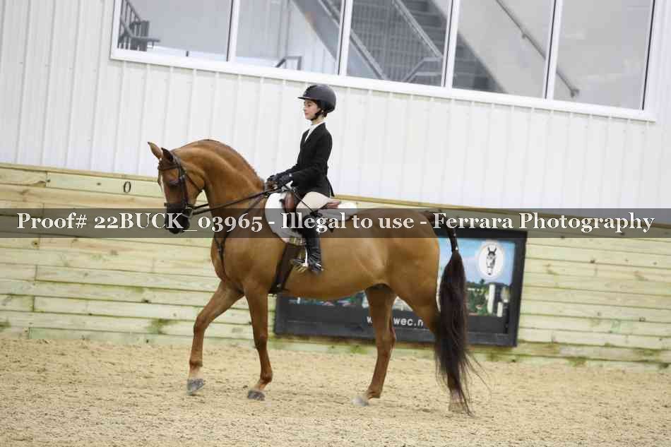 Proof 22BUCK_03965