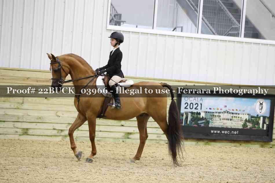 Proof 22BUCK_03966