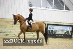 22BUCK_03966 proof