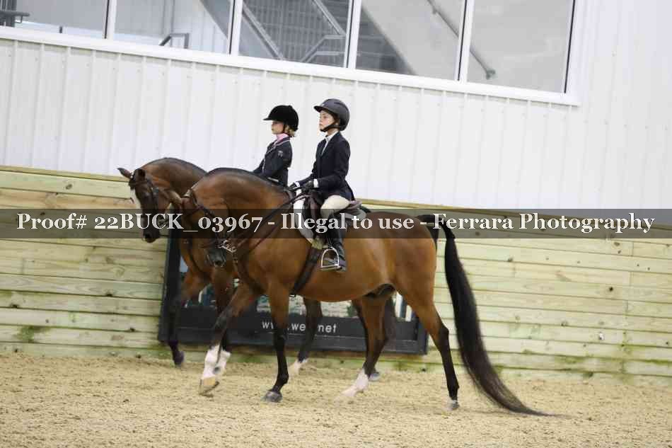 Proof 22BUCK_03967