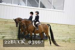 22BUCK_03967 proof