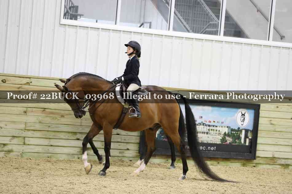 Proof 22BUCK_03968