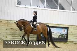 22BUCK_03968 proof