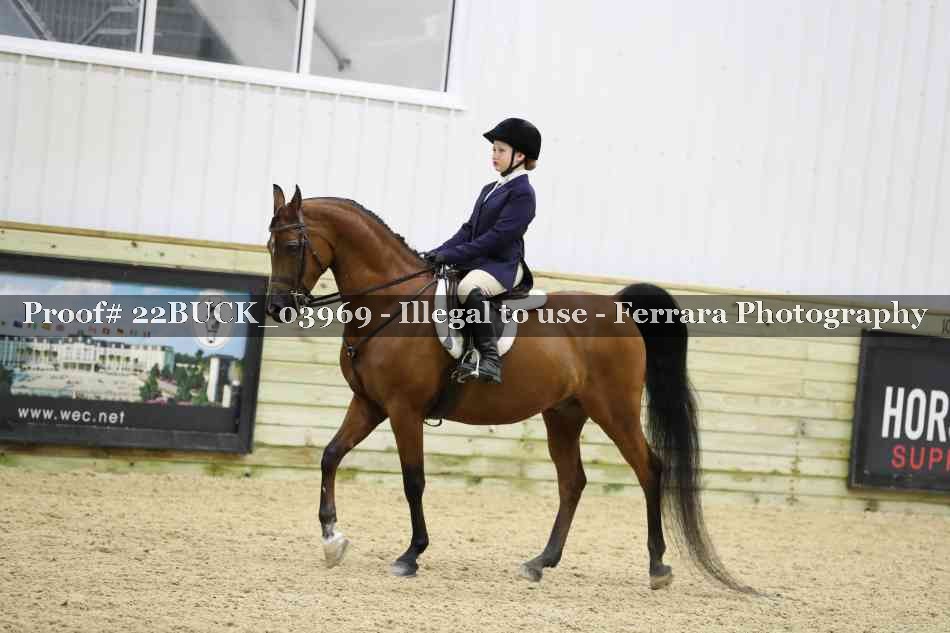 Proof 22BUCK_03969