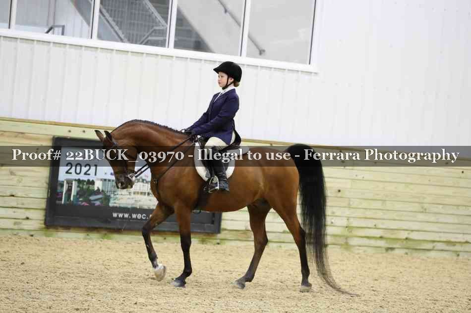 Proof 22BUCK_03970