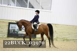 22BUCK_03970 proof