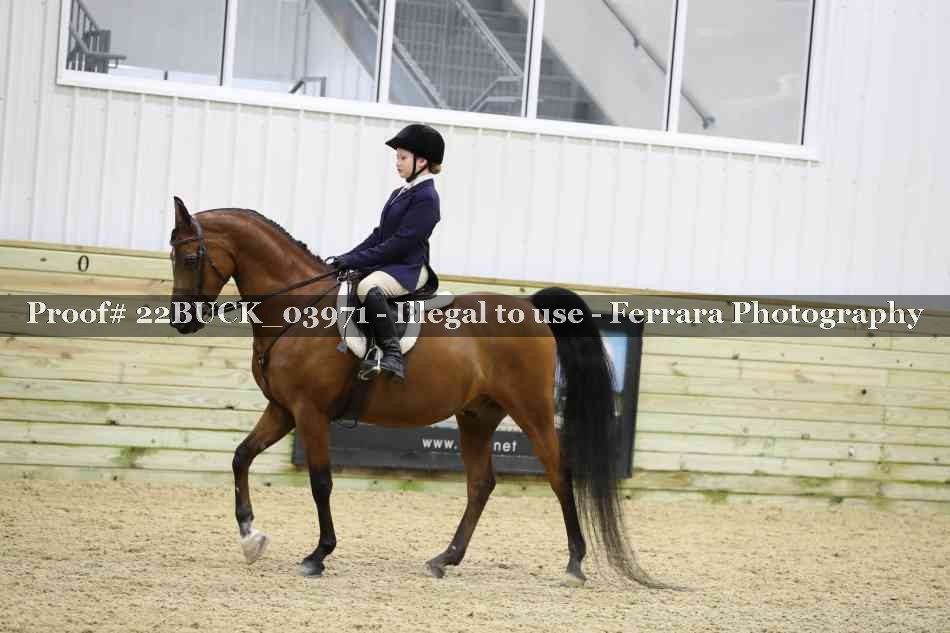 Proof 22BUCK_03971