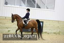 22BUCK_03971 proof