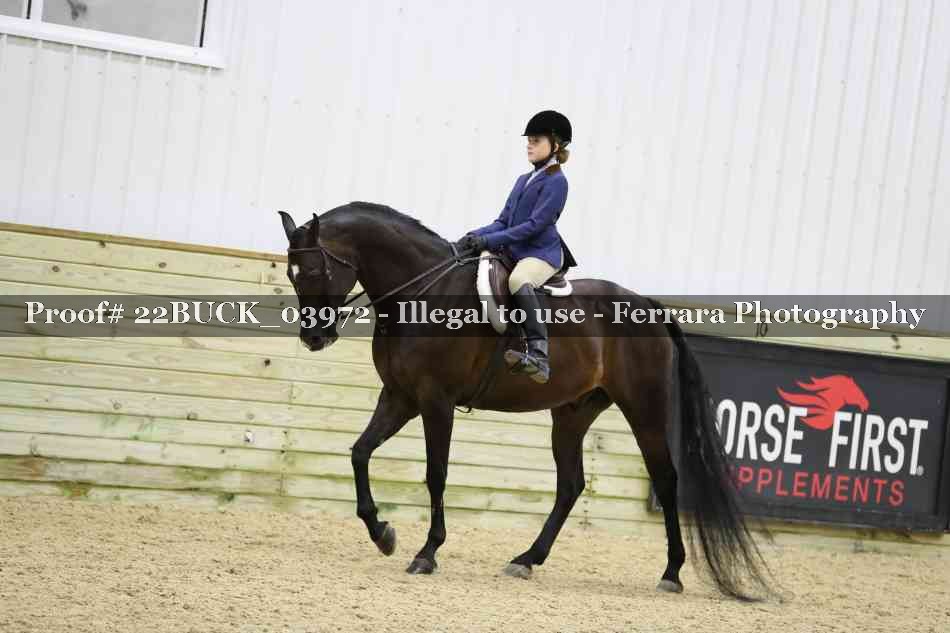 Proof 22BUCK_03972