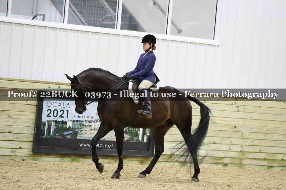 Proof 22BUCK_03973