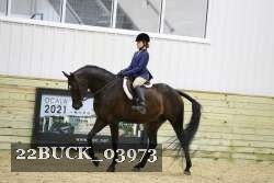 22BUCK_03973 proof