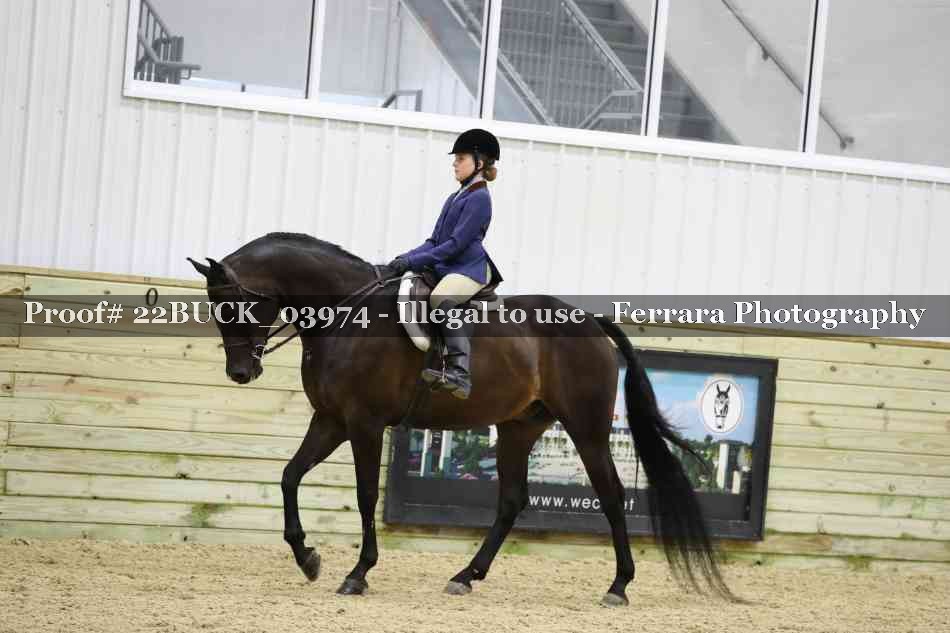 Proof 22BUCK_03974