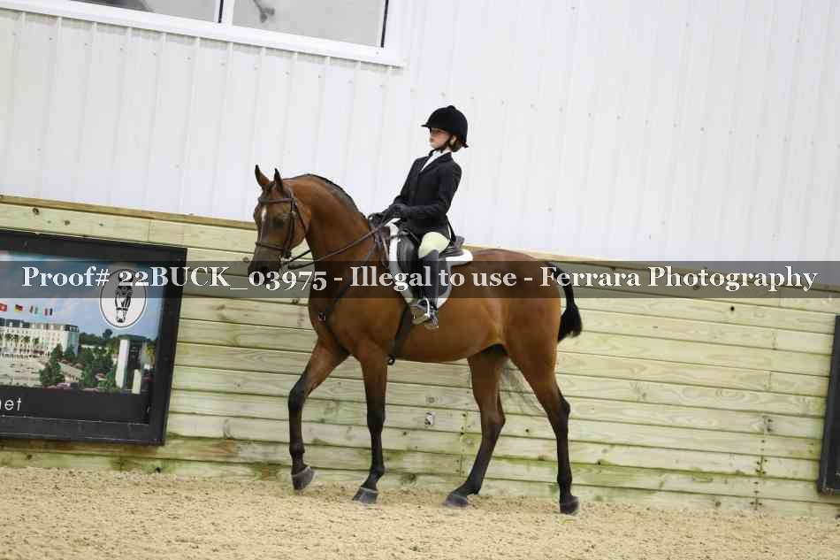 Proof 22BUCK_03975