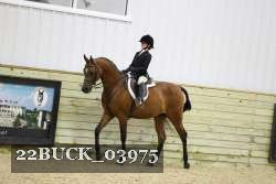 22BUCK_03975 proof