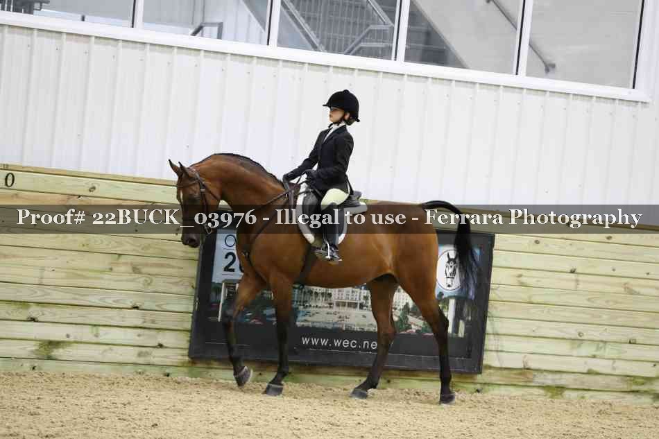 Proof 22BUCK_03976