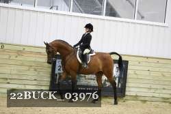 22BUCK_03976 proof
