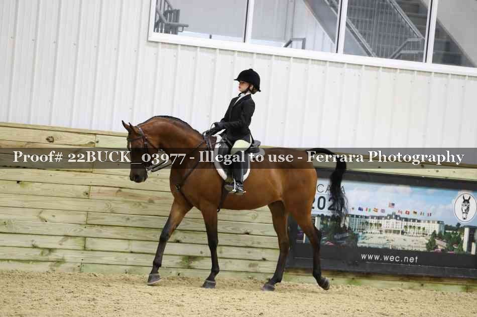 Proof 22BUCK_03977
