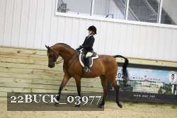 22BUCK_03977 proof