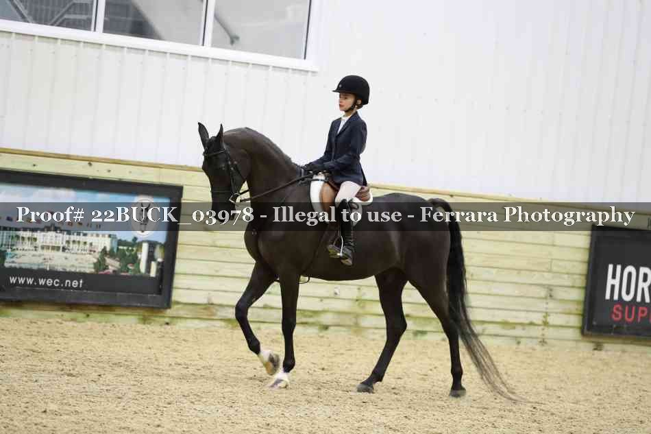 Proof 22BUCK_03978