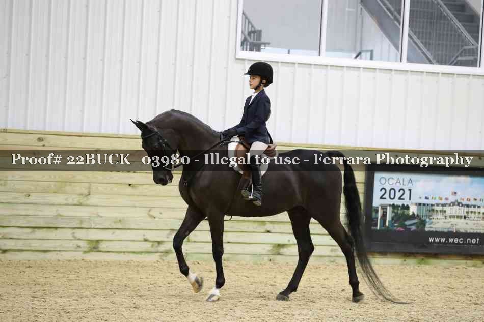 Proof 22BUCK_03980